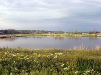 Искусственный пруд у села Вареновка