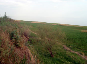 Берег Таганрогского залива